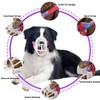 Basket Muzzle Allows Panting Drinking, Anti Biting Chewing, Suitable for