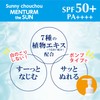 Sunny Scrunchie Sunscreen 8.8 oz (250 g), Mentum the Sun