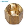 LTWFITTING 1/4-Inch Brass Compression Nut,Brass Compression Fitting(Pack of 100)