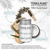 Terra Pure White Tea & Coconut Lotion, Travel Size Hotel