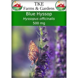 TKE Farms & Gardens - Hyssop Seeds for Planting, 500 mg, 500 Heirloom Seeds, Non-GMO, Packet Includes Instructions, Hyssopus officinalis, Qty 1