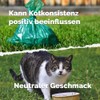Feed Charcoal - Supplementary Food for Dogs, Cats and Other