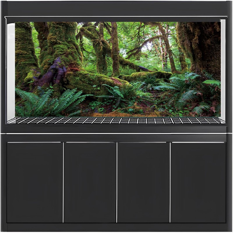 MIRRORANG 180x61cm Tropical Forest Terrarium Background Green Huge Tree Reptile