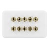 Selby 5.0 Speaker Wall Plate Wallplate Premium Pre-Assembled for 5