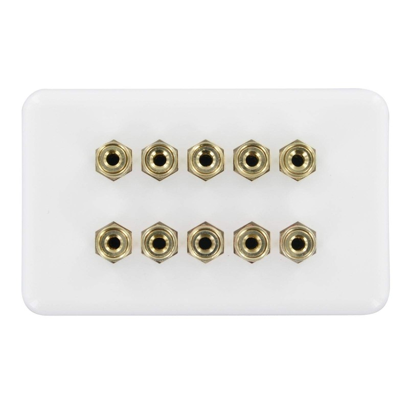 Selby 5.0 Speaker Wall Plate Wallplate Premium Pre-Assembled for 5