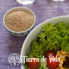 Gomasio Sal De Sésamo 500 G Orgánico
