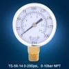Air Compressor Pressure/Hydraulic Gauge, 1/4in NPT Brass Thread Side Mount,0-200psi