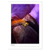 Iris, Flower of the Rainbow (Wall Calendar 2025 DIN A3