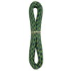 BLUEWATER ROPES 7mm x 30ft Sprout Accessory Cord (499730SP)