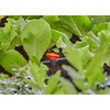 Gardena Micro Drip System Shut-Off Valve, 4.6 mm (3/16 inch):