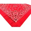 HAV-A-HANK Genuine MADE IN USA Bandanna 22 in Extra Large