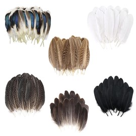 60 Pcs Pheasant Feathers, Feathers for Hats and Fascinators, Suitable for Natural Pheasant Feathers for Crafting Hat Floral Home Party Wedding Performance Deco Cosply Props