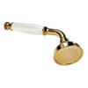 Tecuro Nostalgie – 1-Jet Hand Shower Gold Metal Design