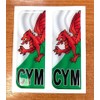Domed CYM Wales Flag Vehicle Number Plate Stickers - 39mm
