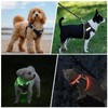 PceoTllar Light Up Dog Harness, LED No Pull Reflective Dog