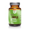 BeGreen Infla Green with Organic Turmeric Capsules with MSM, Ginger,