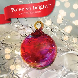 Glass Eye Studio Ball Ornament Nose so Bright