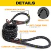Fida Fida Durable Slip Lead Dog Leash, 6 FT x
