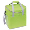Cool Bag Green Insulated Bag Has 2 Side Mesh Pockets