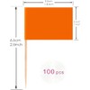 100 Pcs Orange Flag Blank Toothpick Flag Small Mini Labeling