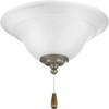 Progress Lighting 2-Light Ceiling Fan Light, Trinity Collection, Indoor, P2628-01WB,