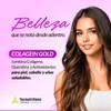 Suplemento Colagein Gold Q10