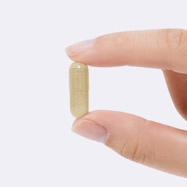 Natural Remix [내추럴이믹스] 퓨어 밀크씨슬 700mg (6개월분) 간영양제 실리마린 [Natural E-Mix] Pure Milk Thistle 700mg (6 months supply) Liver Supplement Silymarin