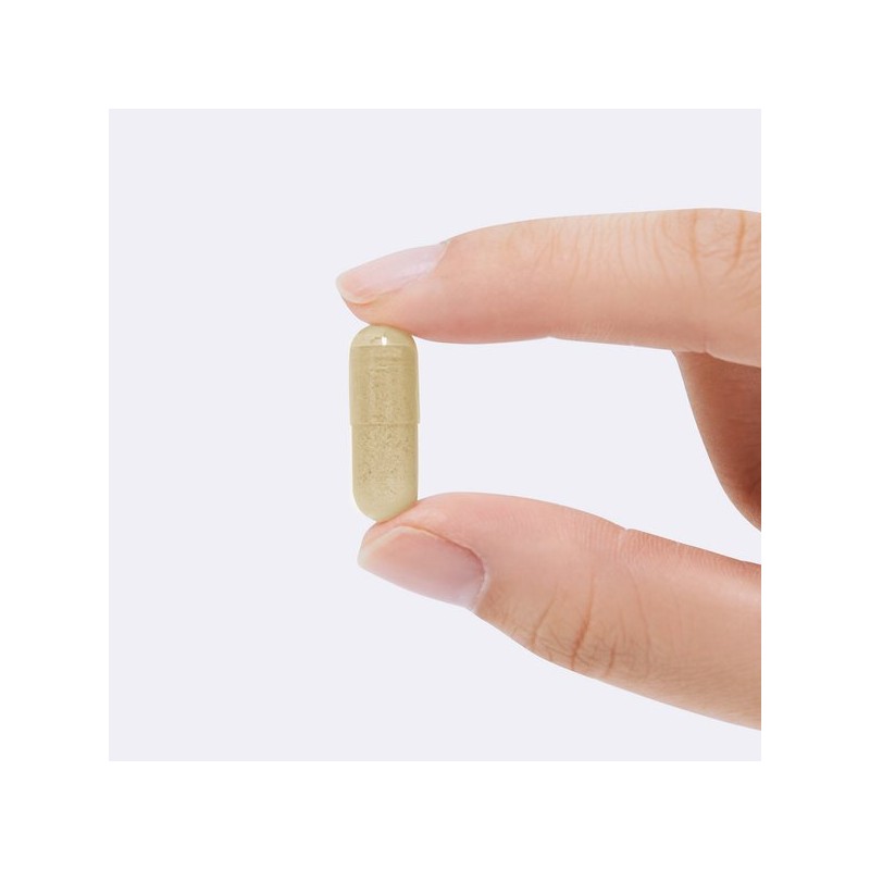 Natural Remix [내추럴이믹스] 퓨어 밀크씨슬 700mg (6개월분) 간영양제 실리마린 [Natural