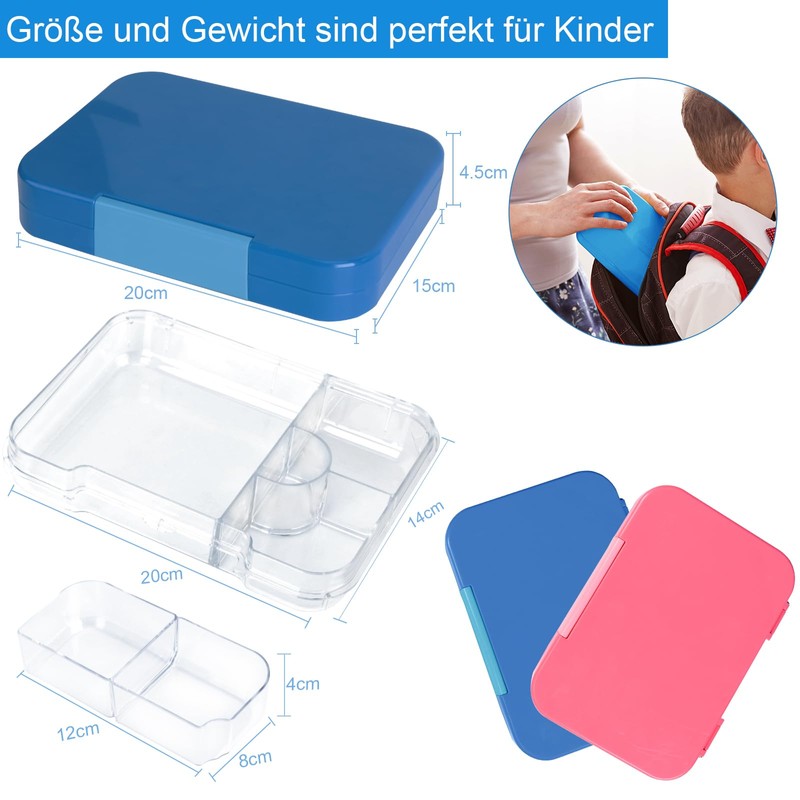 Braoses Lunch Box with 4 or 6 Compartments, Bento Box
