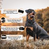 LIEVUIKEN 2 Pack Reflective Dog Collar with Safety Locking Buckle,
