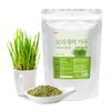 Gapdang Herbal 새싹보리가루 새싹보리 분말 가루 300g X 2팩 Sprouted Barley Powder 300g X 2 Packs