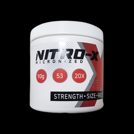 (1 piece)Nitro NitroX All-in-One Supplement 270g 5 / (1개)나이트로 니트로엑스 올인원 보충제 270g 5
