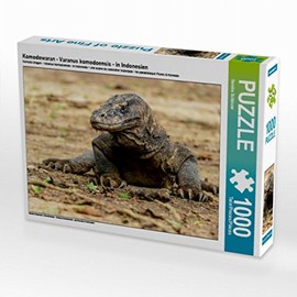 CALVENDO Komodo Dragon, Varanus komodoensis, in Indonesia, 1000 pieces, size 64 x 48 cm, photo puzzle picture by Sandra Schänzer