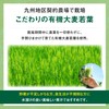リビタ大麦若葉青汁（3g×30袋入）