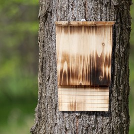 Relaxdays Bat Box, Shelter for Bats, HBD: 37 x 22 x 12.5 cm, Flamed, Bat Hotel, Wood, Natural