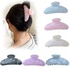 Large Claw Clips, Non-Slip Claws Hair Clips Hair Clamps for