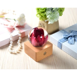 Dr. Pets Miss LI Garden Forever Red Tulip Crystal Ball, Wife Girlfriend Women, Anniversary, Mother's Day, Birthday, Valentine's Day Home Decor (14th Red Tulip)