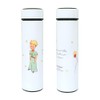 Stainless Steel Bottle, 15.9 fl oz (450 ml) - The