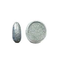 1x Acrylic Powder pot Glitter Collection Nail Extension Art Design Manicure pedicure (Silver Metallic)