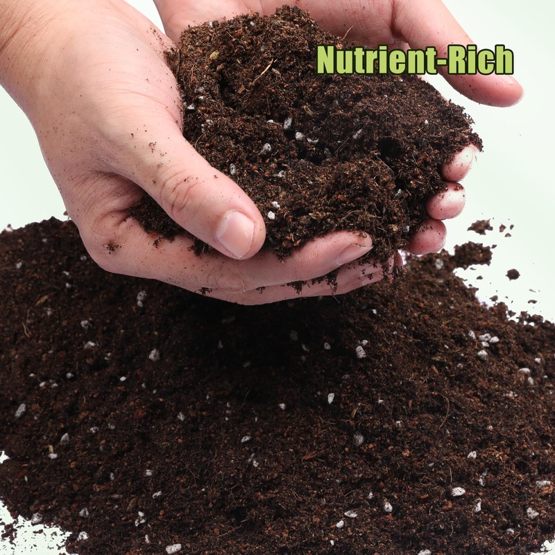 Organic Avocado Tree Potting Soil Mix 4qt, Enhance Growth and