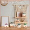 Qinyoung 6 Sets Boho Plant Pots Succulent Pot Modern Sun