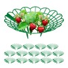 Relaxdays Strawberry Ripper, Set of 15, Snail Protection, Strawberries, Plastic,