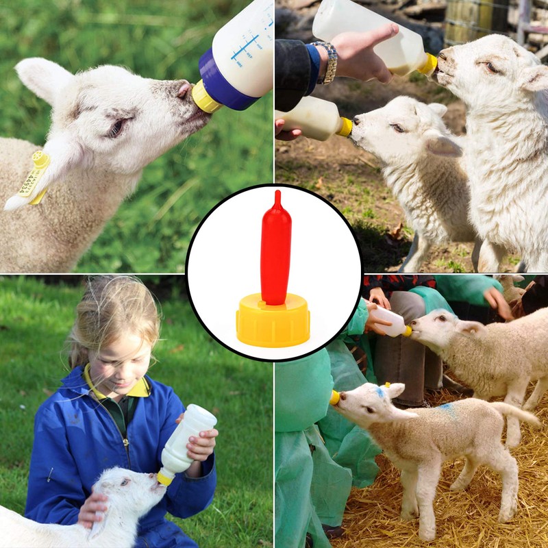 PAGOW 10PCS Nipple for Goats, Small Animal Milk Drink Nipple,