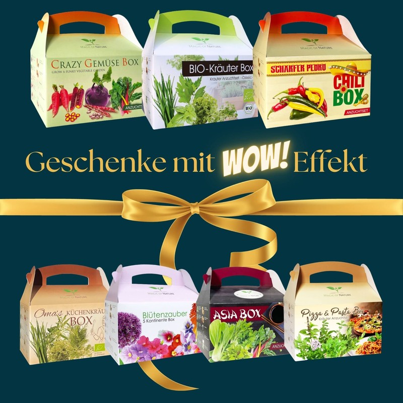 Gift propagation set: Blossom Magic 5 Continents Box - for