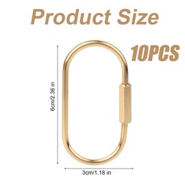 Tinoaly Pack of 10 Brass Keyrings, Golden Carabiner Hook with Secure Locking Screw, Brass Key Ring for Men and Women, Bags, Luggage Tag, Pet Collar Clips