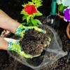 10 Pcs Root Guard Gopher Proof Wire Basket Stainless Steel
