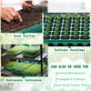 Romooa 5 Sets Seed Starter Kit 72 Cell Seedling Trays