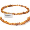 Amber Collar for Dogs and Cats - Certified Baltic Sea