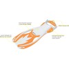 Cressi Rocks fins, White/Orange, L/XL