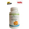 NATURE'S ONLY CHOICE LLC Apricot Capsule 20:1 600 Mg (100